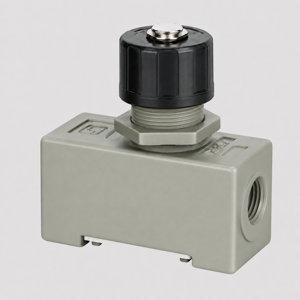 AS series check valve